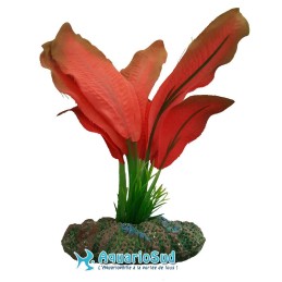 AQUA NOVA Echinodorus Rojo - Altura 13 cm - NP-13-SP1369