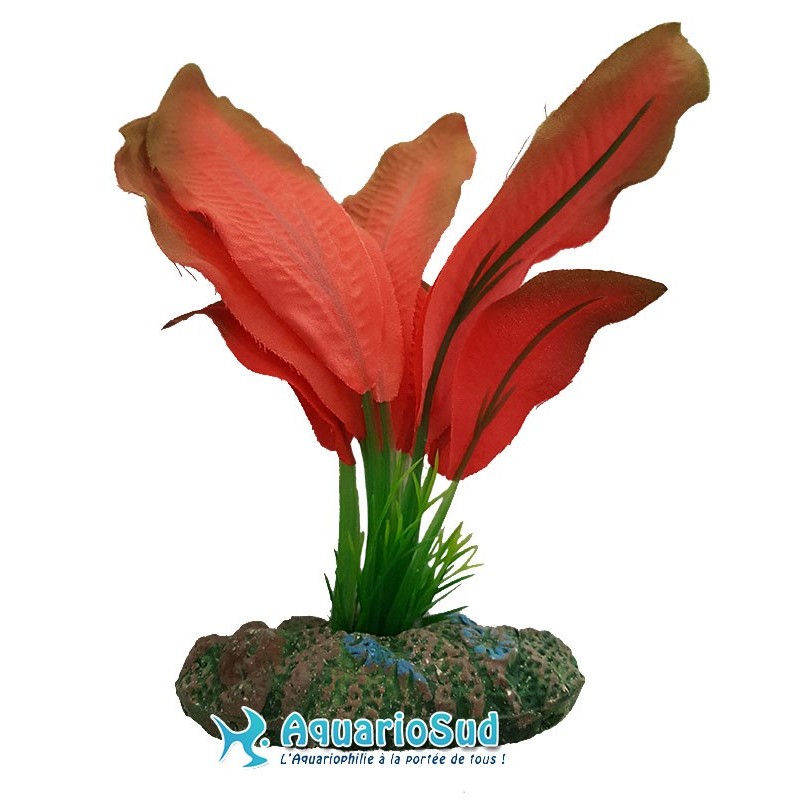 AQUA NOVA Plante artificielle - Echinodorus rouge - Hauteur 13 cm