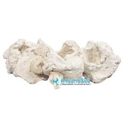 Alfileres de coral AQUA MEDIC - paquete de 10 piezas