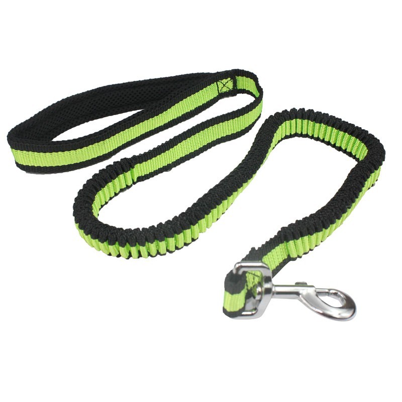 Laisse extensible pour chien DOG LIFE STYLE BUNGEE