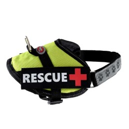 Harnais pour chien RESCUE Plus vert anis