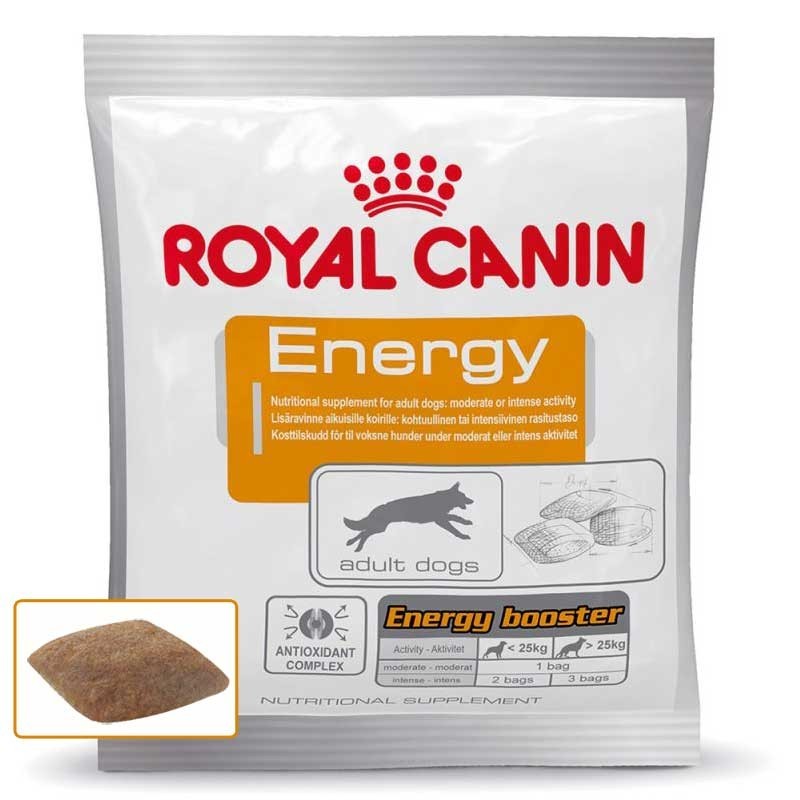 ROYAL CANIN Energy pour chien