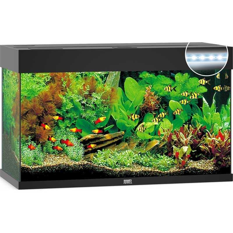 Acquario JUWEL Rio 125 Led Noir