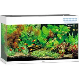 Aquarium JUWEL Rio 125 Led Blanc