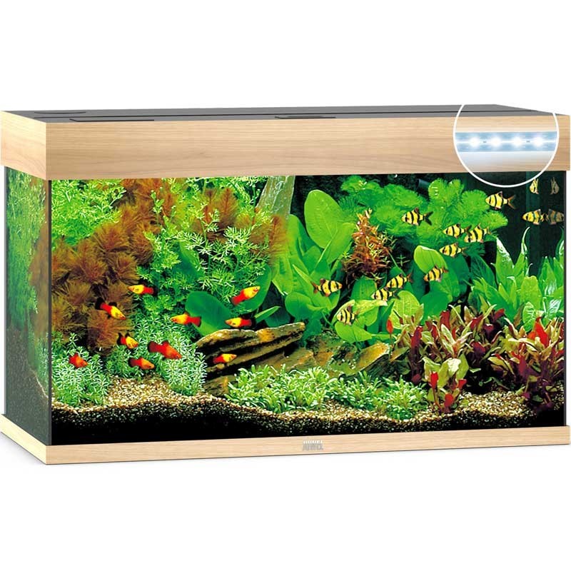 JUWEL aquarium Lido 200 Line Led avec meuble assorti