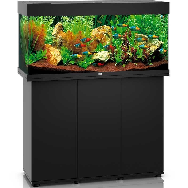 Aquarium équipé avec filtre cascade et Led coloris noir Zolux