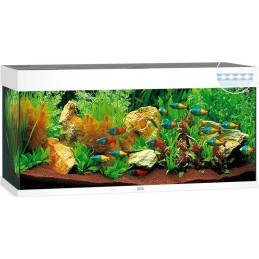 Acquario JUWEL Rio 240 Led Blanc