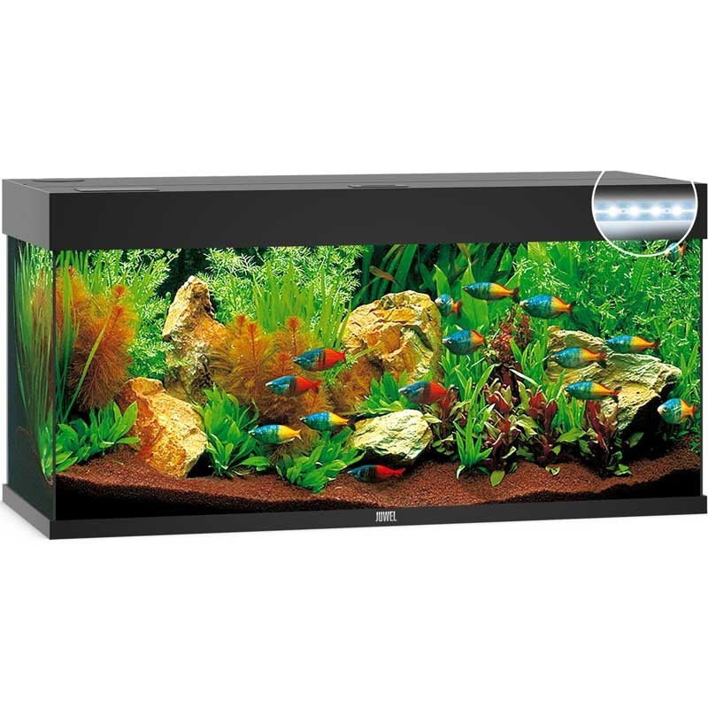 Aquarium JUWEL Rio 240 Led