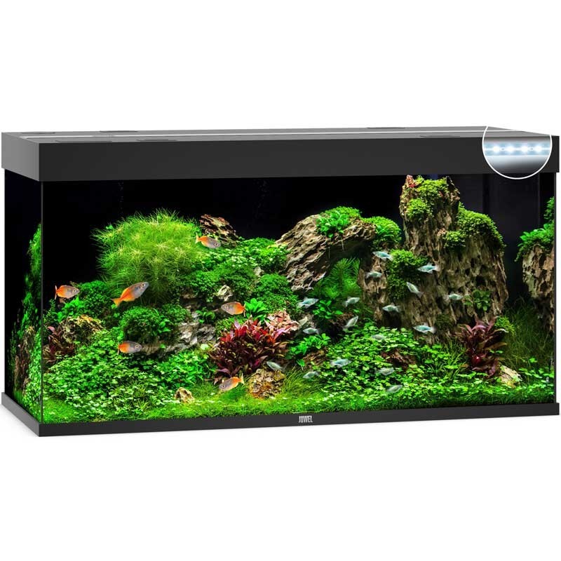 Aquarium Complet 300 Litres sur Meuble Blanc avec LED [Pompe