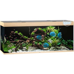 Acquario JUWEL Rio 450 Led chêne clair - 450 Litres