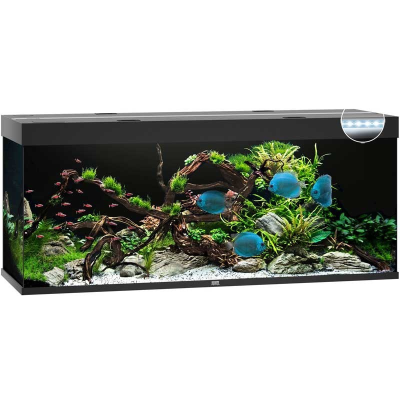 Aquarium JUWEL Rio 450 Led noir - 450 Litres