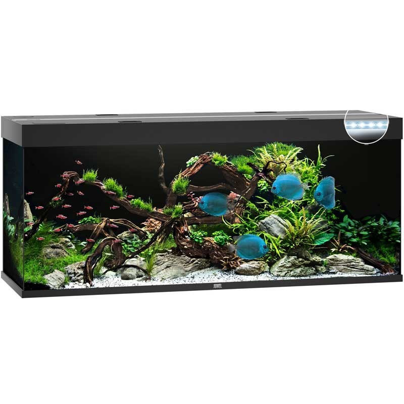 Aquarium JUWEL Rio 450 Led tout équipé