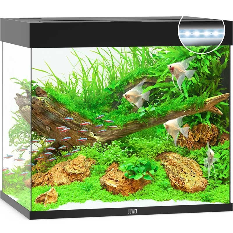 JUWEL aquarium Lido 200 Line Led avec meuble assorti