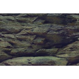 AQUA NOVA Poster aquarium Roche / Plantes