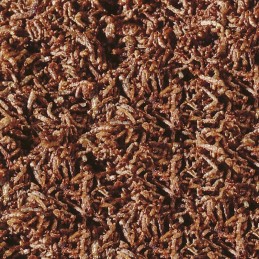 SERA Larves de moustiques rouges FD