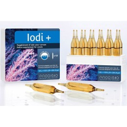PRODIBIO Iodio + 6 %separator% 12 %separator% 30 fiale