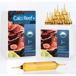 PRODIBIO Calci Reef Plus Nano - 10 ampollas