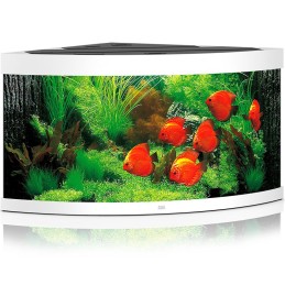 Acquario JUWEL Trigon 350 Led blanc