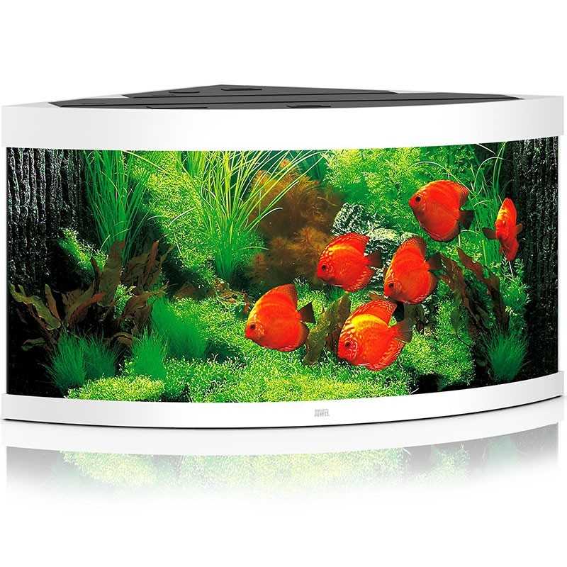 Aquarium JUWEL Trigon 350 Led blanc