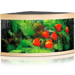 Acquario JUWEL Trigon 350 Led chêne clair