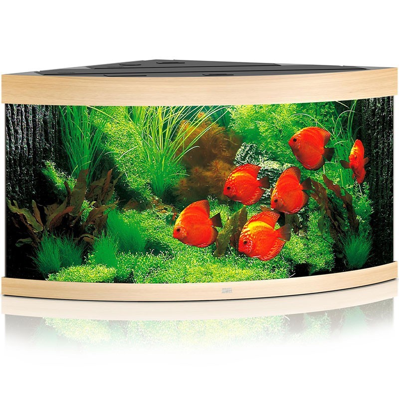 Acquario JUWEL Trigon 350 Led chêne clair