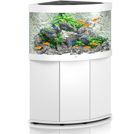 Aquarium JUWEL Trigon 350 Led avec meuble SBX blanc