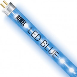 JUWEL Tube LED Blue 11 Watts - 59 cm