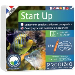 PRODIBIO Start Up - 12 Ampullen