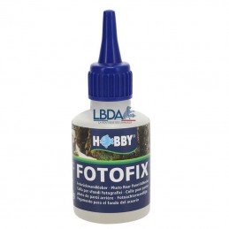 HOBBY Fotofix 50ml - Colle Poster