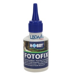 HOBBY Fotofix 50ml - Colle Poster