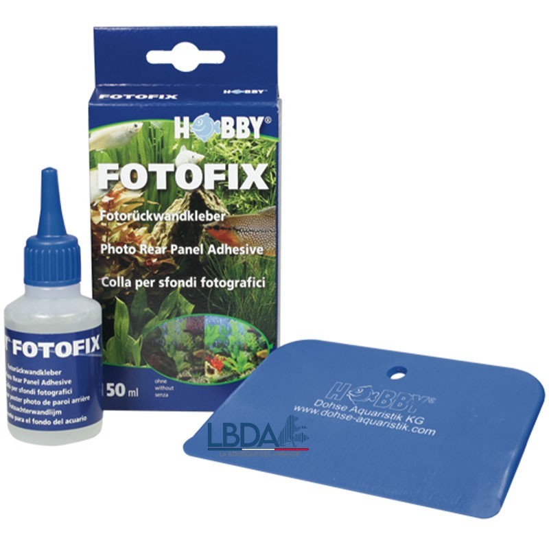 HOBBY Fotofix 50ml - Colle Poster