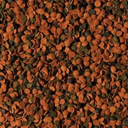 Chip bionautici TROPICALI
