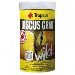 TROPICAL Discus Gran Wild