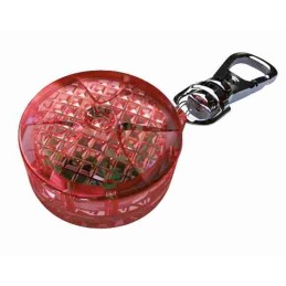 Flasher pour chiens et chats