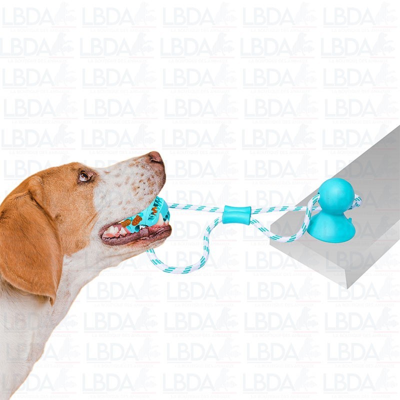 PET NOVA Pelota en cuerda con ventosa 7 cm PET NOVA Pelota en cuerda con ventosa 7 cm