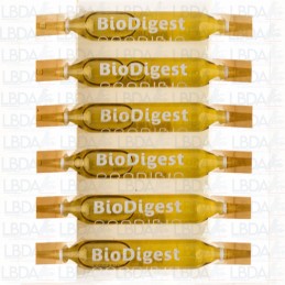 PRODIBIO BioDigest - 6 ampoules