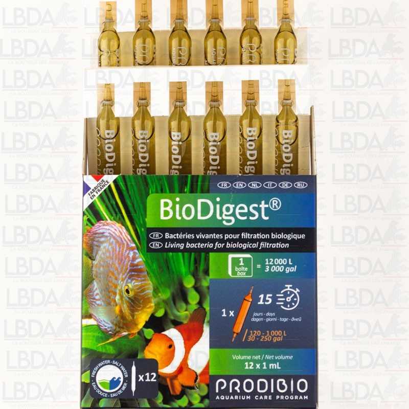 PRODIBIO BioDigest - 12 Fiale