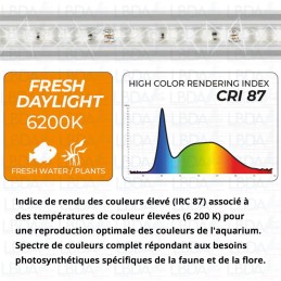 NEWA Slim Led Daylight NS 528 - Farbwiedergabeindex (CRI)