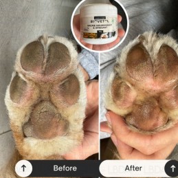 BIOVETOL - Baume Apaisant & Nourrissant Bio pour coussinets.