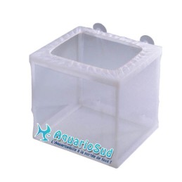 Isolator, single compartment separator for fish
