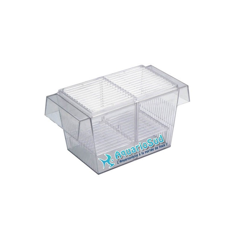 Isolatore, separatore a doppia separazione per pesci Isolatore, separatore a doppia separazione per pesci
