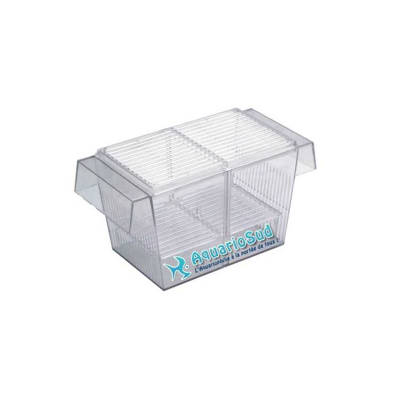 Isolator, Doppeltrenntrenner für Fisch