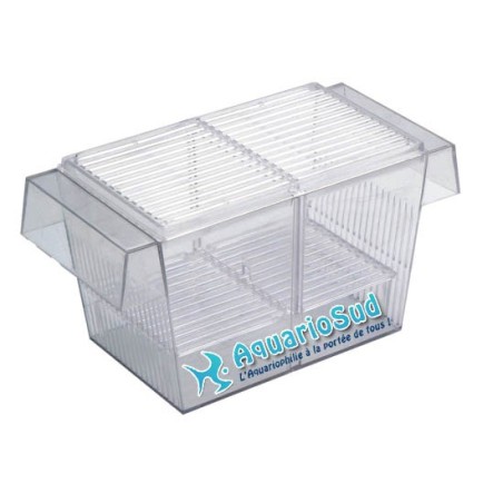 Isoloir, séparateur à double séparation pour poissons