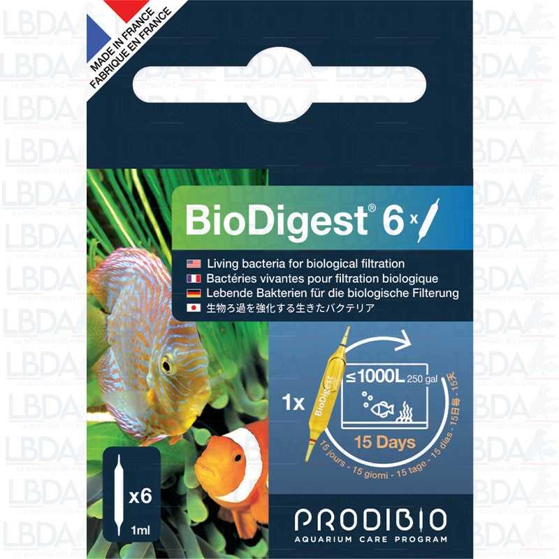 PRODIBIO BioDigest 6 %separator% 12 %separator% 30 Ampullen