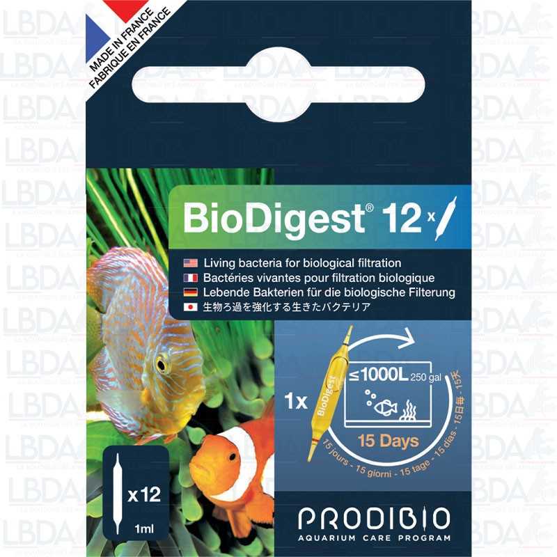 PRODIBIO BioDigest - 12 Ampoules