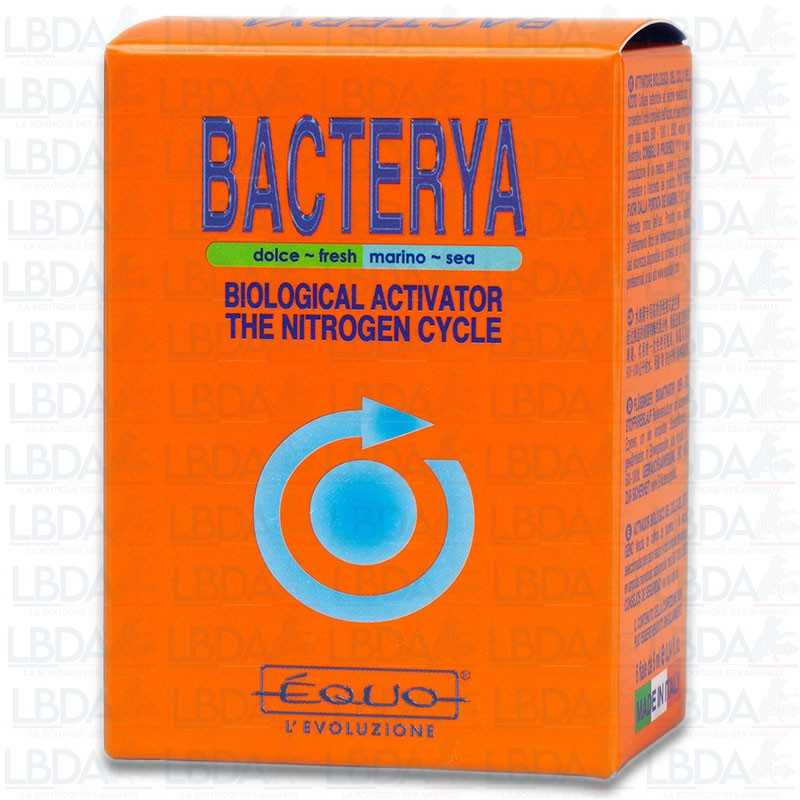 ÉQUO Bacterya 5ml - 6 Ampollas
