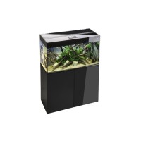 Acquario