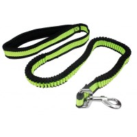 Dog leash