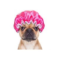 Productos para el cuidado e higiene de perros
