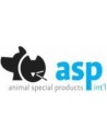 ASP International